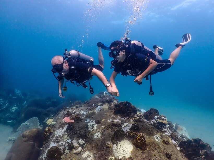 Koh Samui: Discovery Dive to Koh Tao or Sail Rock - Who will enjoy this most?