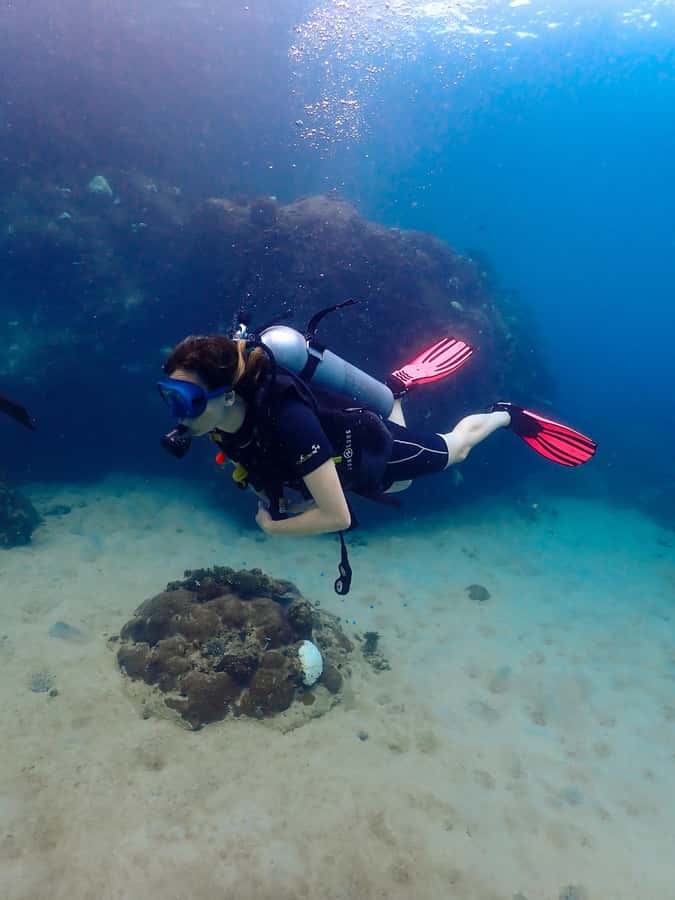 Koh Samui: Dive Tour to Koh Tao - Why Koh Tao makes a worthwhile day trip