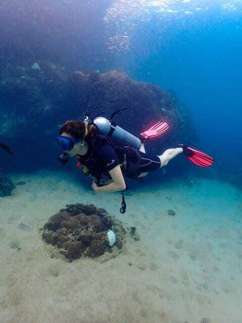 Koh Samui: Dive Tour to Koh Tao - What the $212 price includes