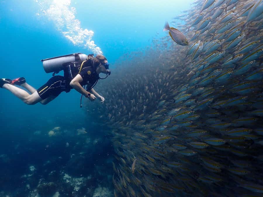 Koh Samui: Dive Tour to Koh Tao - From your resort to the Koh Tao speedboat