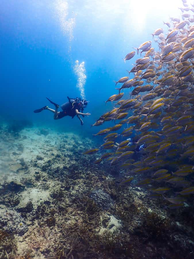Koh Samui: Dive Tour to Sail Rock - The speedboat crossing takes roughly an hour