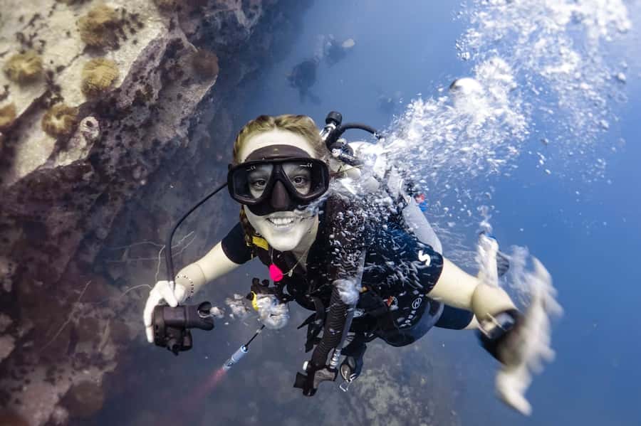 Koh Tao: PADI Premium Open Water Diver Course - Key points to know before booking
