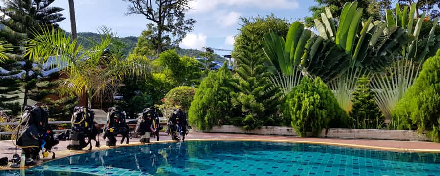 Koh Tao: PADI Premium Open Water Diver Course - Day two: theory, lunch, and two shallow ocean sessions