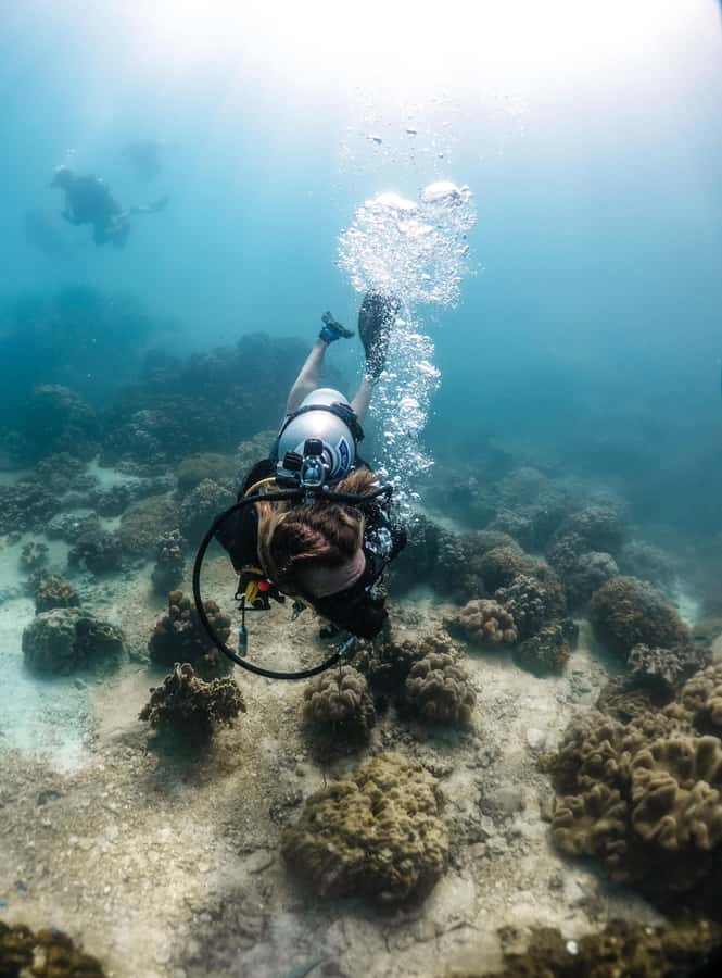 Koh Tao: PADI Premium Open Water Diver Course - What the $353 price really covers
