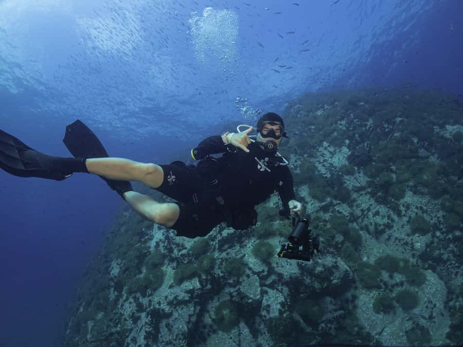 Koh Tao: Private Basic Diver Experience with 2 Dives - Key points at a glance