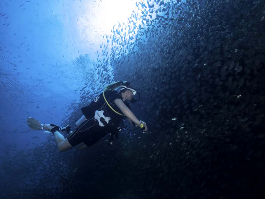 Koh Tao: Private Basic Diver Experience with 2 Dives - Pickup from Koh Tao keeps the morning simple