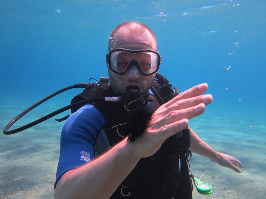 Kos: Beginner Scuba Diving from the Beach with Pickup - Key points for your Kos underwater session