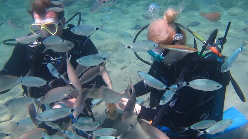 Kos: Try Scuba Diving with a diving boat - Why Pserimos is a good first underwater lesson