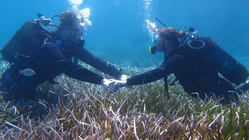 Kos: Try Scuba Diving with a diving boat - FAQ