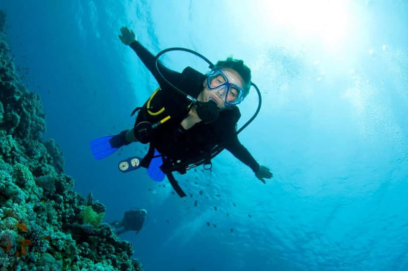 Kos: Try Scuba Diving with a diving boat - From Liamis Dive Centre to the open sea