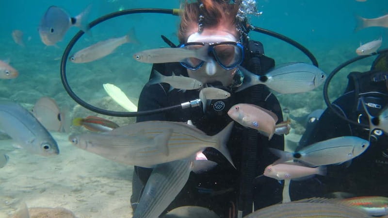 Kos: Try Scuba Diving with a diving boat - Practical tips for a smoother morning