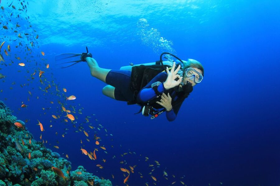 Kusadasi: Diving Experience with Lunch and Transfer - The short lesson before your first underwater session