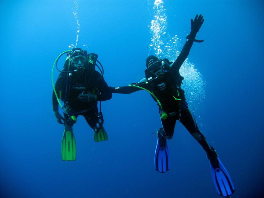 Kusadasi: Scuba Diving for Beginner or Experienced w/ Lunch - Key points to know before booking