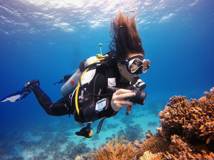 Kusadasi: Scuba Diving for Beginner or Experienced w/ Lunch - Should you book the Kusadasi scuba trip?