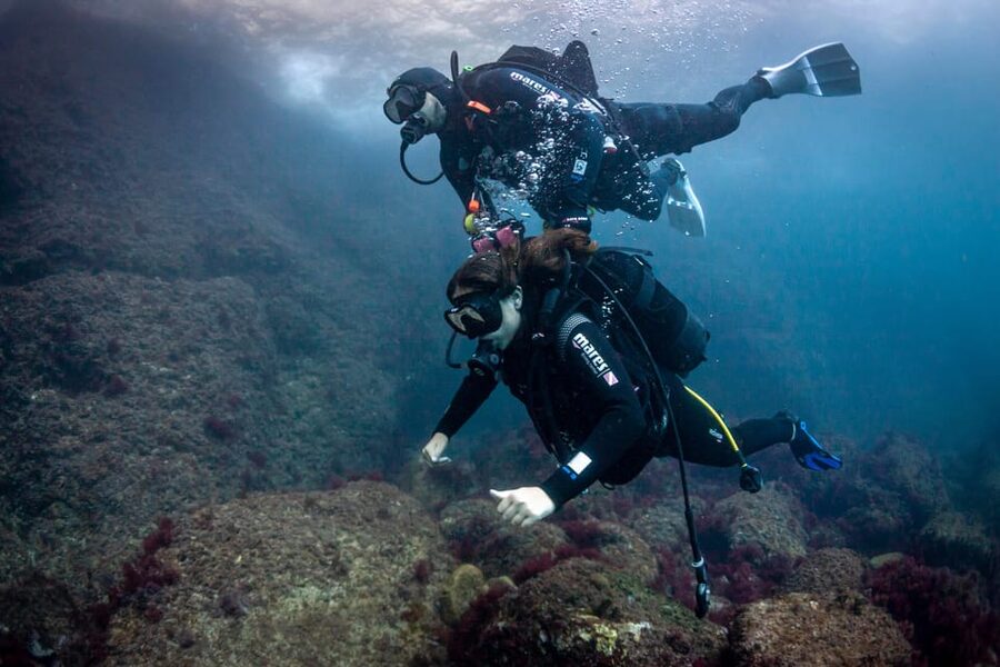 L'Estartit: Dive and Snorkeling in Montgrí Natural Park - Key points to know before booking