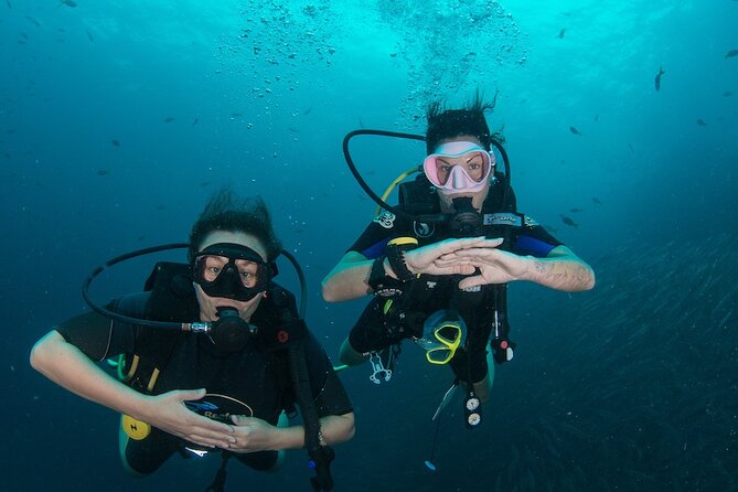 La Bombona Diving Koh Tao Open Water Course - Key points to know before booking