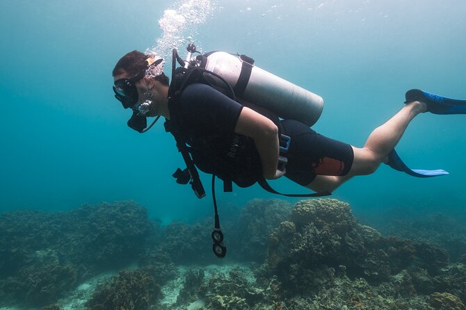 La Bombona Diving Koh Tao Try Dive - The optional second session costs extra