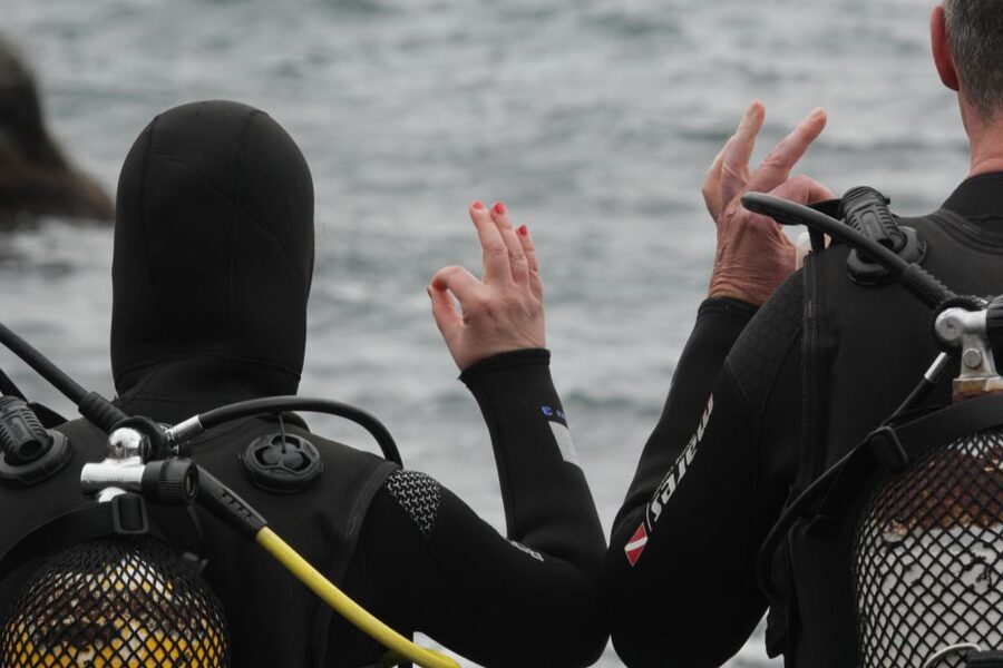 La Palma: Basic Diver Certification with 2 Atlantic Dives - Your first session: equipment, breathing, and shallow practice