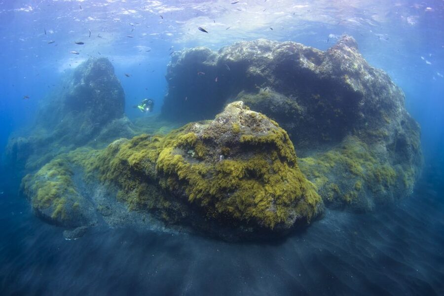 La Palma: SSI Try Scuba Program - Who should book this first scuba session