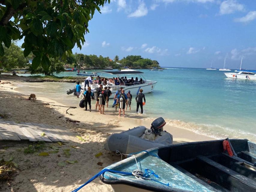 La Romana: 3-Day PADI Open Water Diver Course - What the small group changes