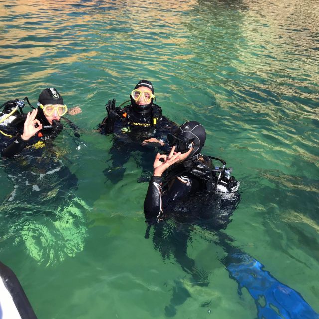 Lagos: Guided Scuba Diving Trip for Beginners - Who will enjoy this most