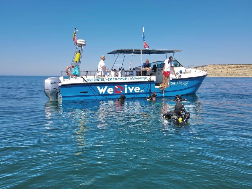 Lagos: Scuba Diving Experience for Beginners - Returning the next morning for the sea session