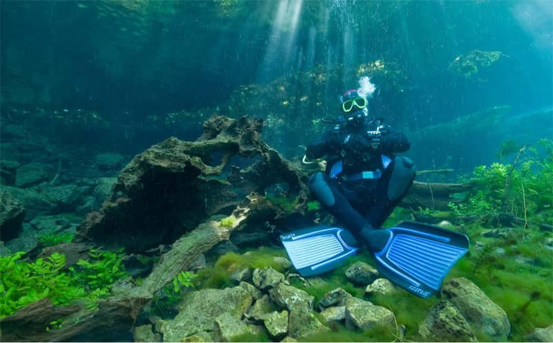 Lake Ohrid: Try Diving at the Bay of the Bones - Around the wooden platform and ancient remains