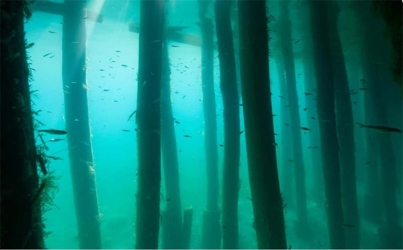 Lake Ohrid: Try Diving at the Bay of the Bones - Who will enjoy this most