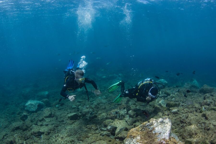 Lanzarote: 2-dive package in Playa Blanca - certified divers - Practical details that can make the morning easier