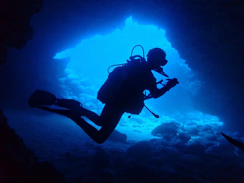 Lanzarote: 2 Guided Dives (Certified Divers Only) - Equipment, instructors, and organization