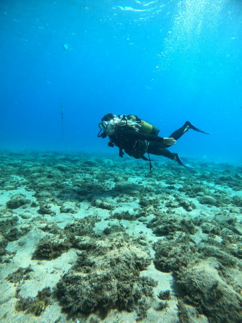 Lanzarote: Intro to Diving Experience for Beginners - Who will enjoy this beginner session most