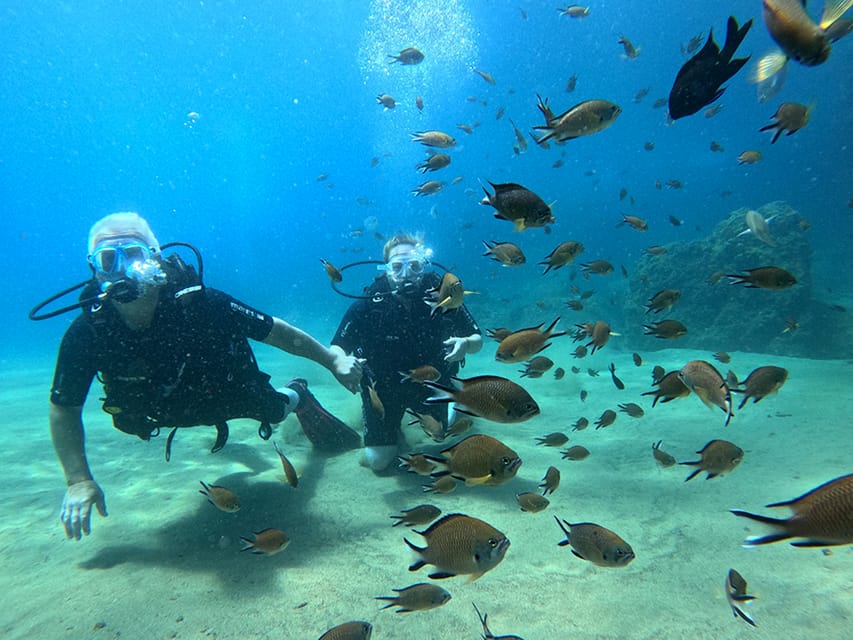 Lanzarote: Intro to Diving Experience for Beginners - Getting comfortable before going below the surface