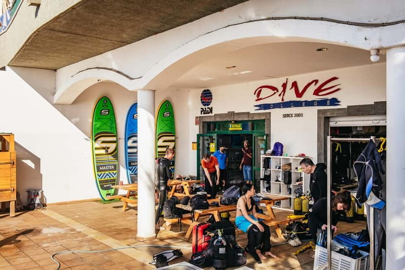 Lanzarote: Scuba Dive at Museo Atlántico for Beginners - Why Museo Atlántico is such a strange and memorable place