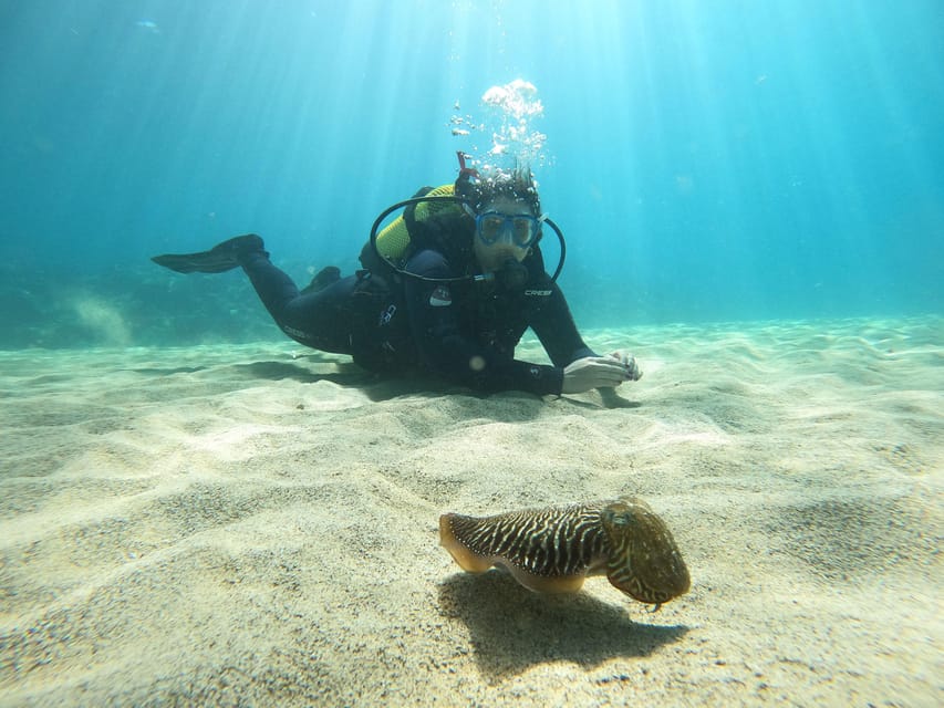 Lanzarote: Scuba Diving for Beginners - 1 Dive - A gentle first look beneath Lanzarote