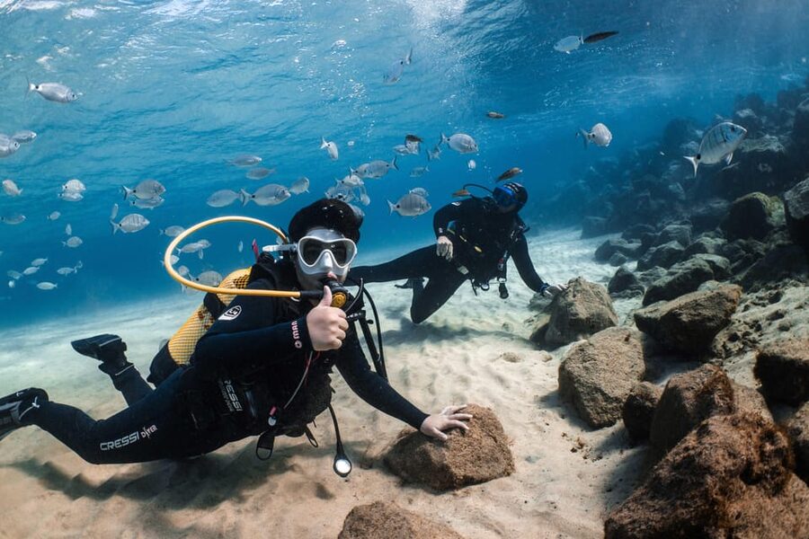 Lanzarote: Scuba Diving for Beginners with 2 Dives - Pickup from Costa Teguise, Puerto del Carmen, or Arrecife