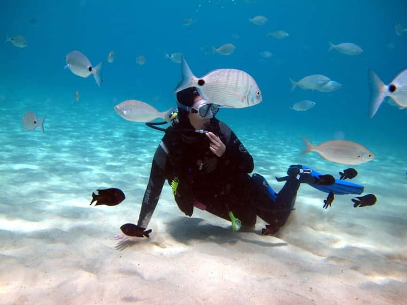 Lanzarote: Small-Group Discover Scuba Diving Costa Teguise - Health rules you should take seriously