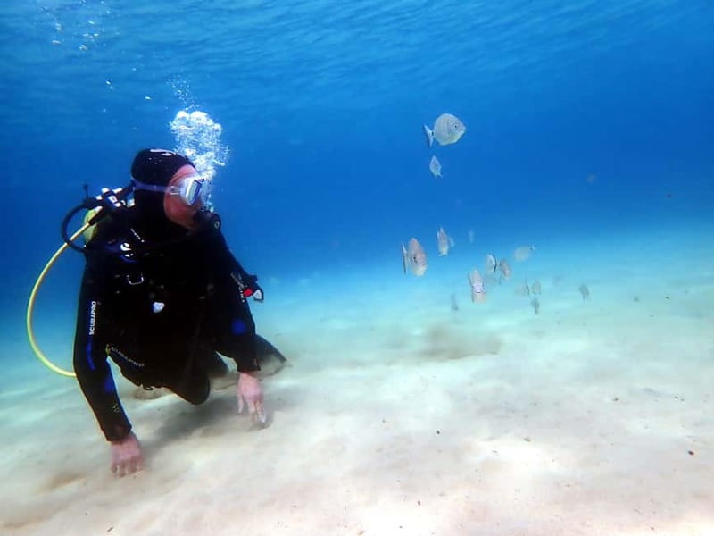 Lanzarote: Small-Group Discover Scuba Diving Costa Teguise - Who will enjoy this Costa Teguise activity