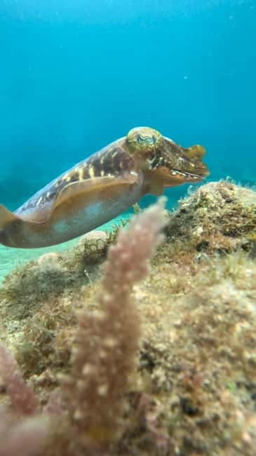 Lanzarote Your First Scuba Diving Experience - Why the instructors matter so much