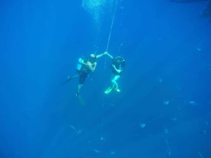 Larnaca: Private Zenobia Beginners Divers - Key points to know before booking
