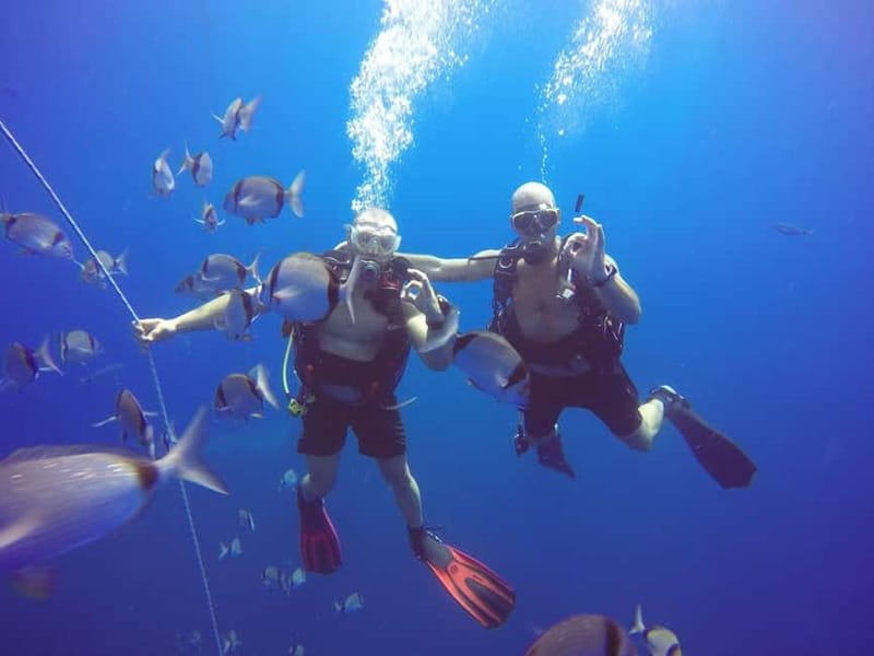 Larnaca: Private Zenobia Beginners Divers - Why the Zenobia wreck adds real value