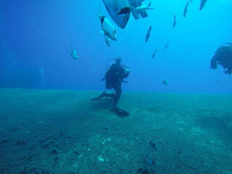 Larnaca: Private Zenobia Beginners Divers - Should you book it?