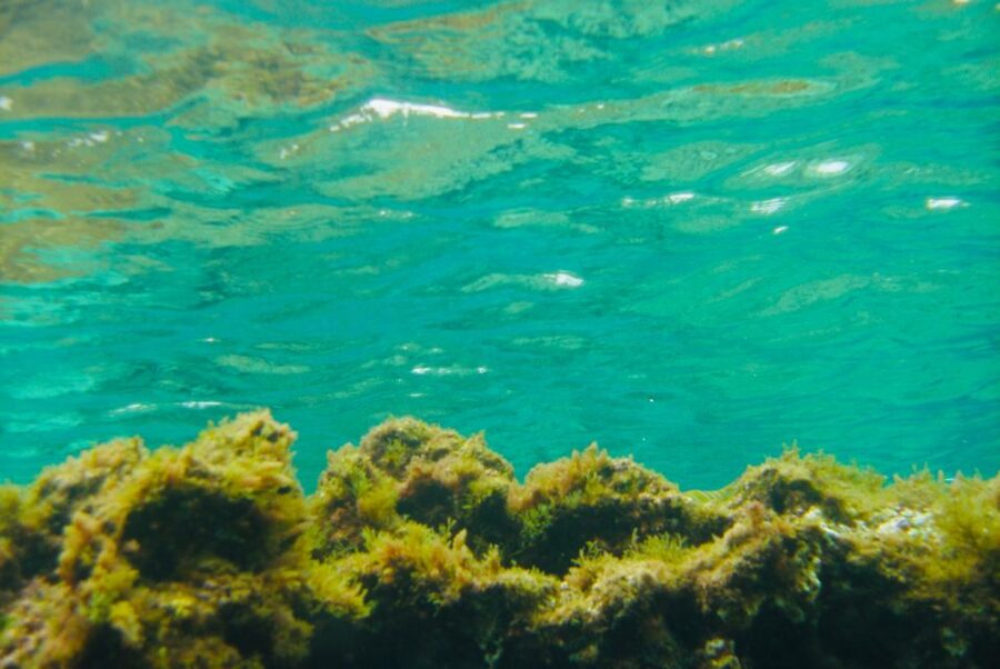 Las Canteras Scuba Diving - Getting fitted and entering the water