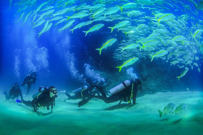 Learn to Scuba Dive in Cabo San Lucas with PADI - Pelican Rock: your first Cabo ocean stop