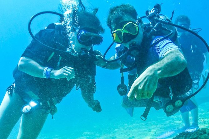 Learn to Scuba Dive in Cabo San Lucas with PADI - El Arco and the value of the open-water setting