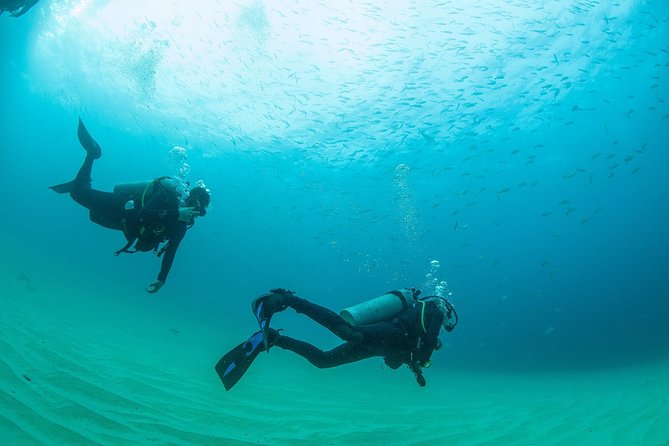 Learn to Scuba Dive in Cabo San Lucas with PADI - Pickup, timing, and check-in details
