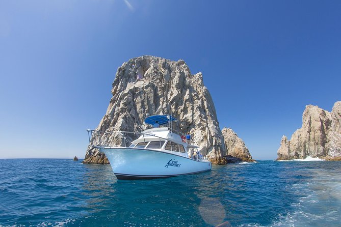 Learn to Scuba Dive in Cabo San Lucas with PADI - The strongest part: calm, close support