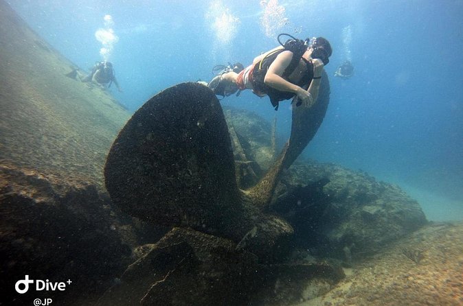 Learn to Scuba Dive in Punta Cana - What the $115 price really covers