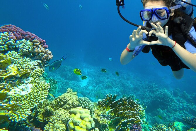 Learn to Scuba Dive with a Professional Instructor in Key Largo - All Inclusive - Key things to know before you book