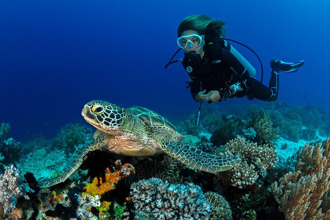 Learn to Scuba Dive with a Professional Instructor in Key Largo - All Inclusive - Taking the boat to the Florida Keys reefs
