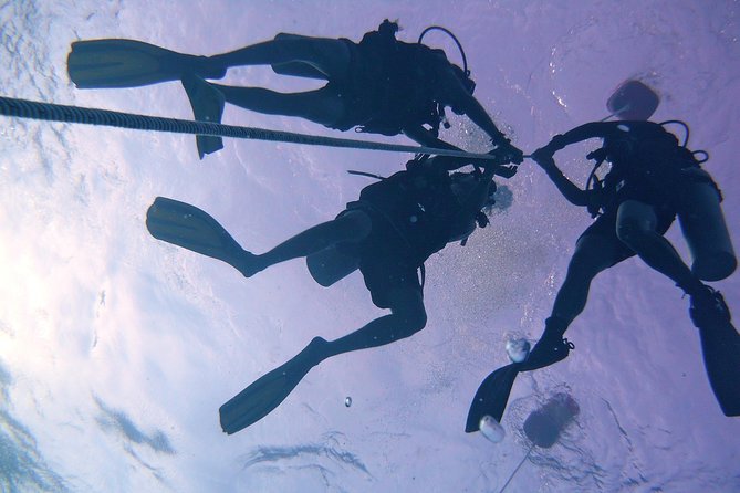 Leisure Diving | Fun Dives | 3 Dives in TARP, Kota Kinabalu - Practical planning for a comfortable day